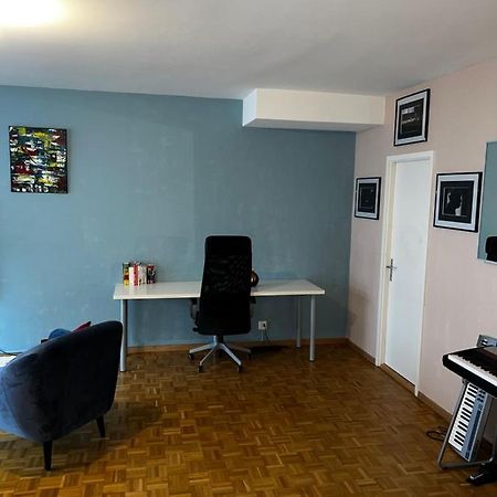 Beautiful Large Studio In Center Of Geneva Free Wifi Appartamento Esterno foto