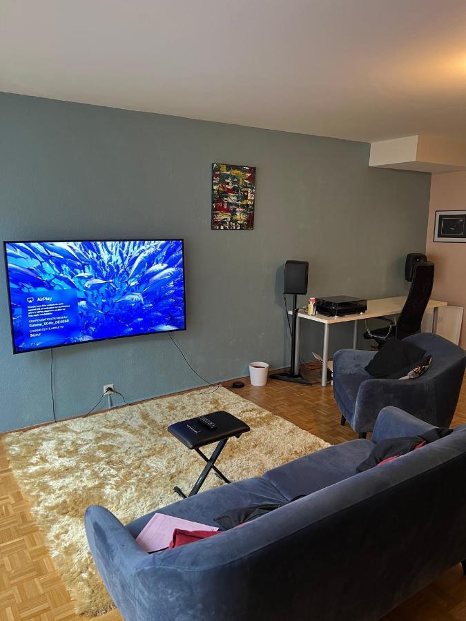 Beautiful Large Studio In Center Of Geneva Free Wifi Appartamento Esterno foto