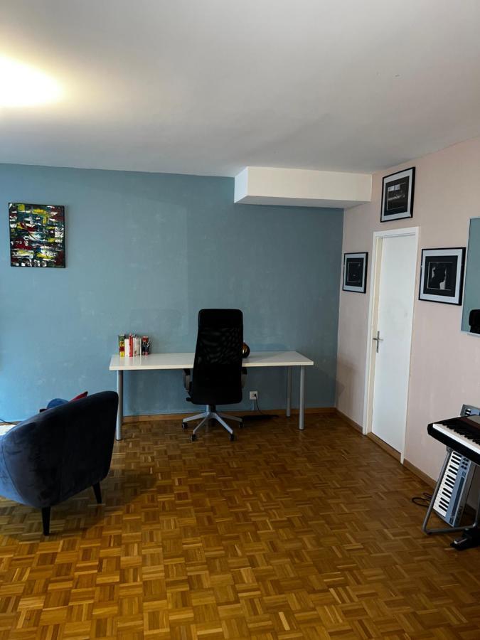 Beautiful Large Studio In Center Of Geneva Free Wifi Appartamento Esterno foto