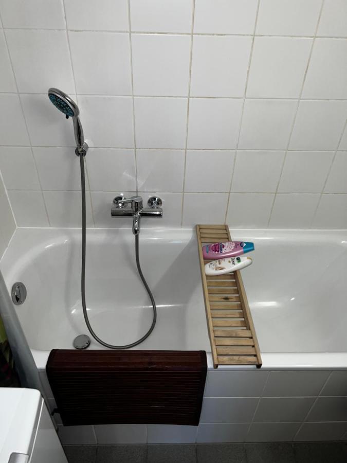 Beautiful Large Studio In Center Of Geneva Free Wifi Appartamento Esterno foto