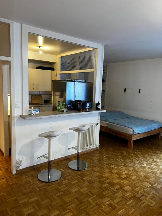 Beautiful Large Studio In Center Of Geneva Free Wifi Appartamento Esterno foto