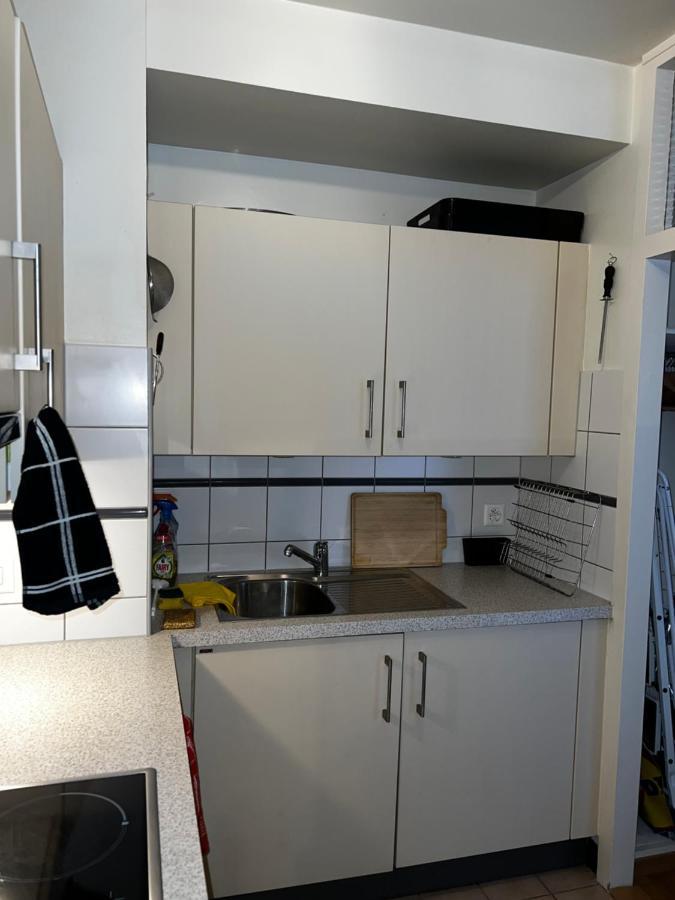 Beautiful Large Studio In Center Of Geneva Free Wifi Appartamento Esterno foto