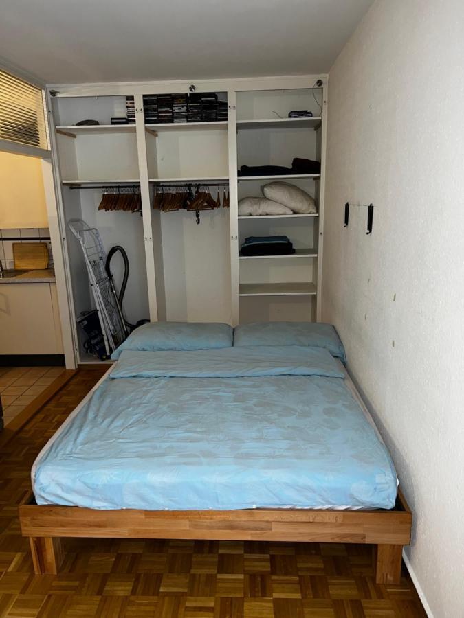 Beautiful Large Studio In Center Of Geneva Free Wifi Appartamento Esterno foto