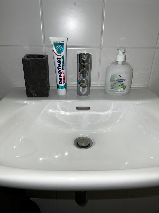 Beautiful Large Studio In Center Of Geneva Free Wifi Appartamento Esterno foto